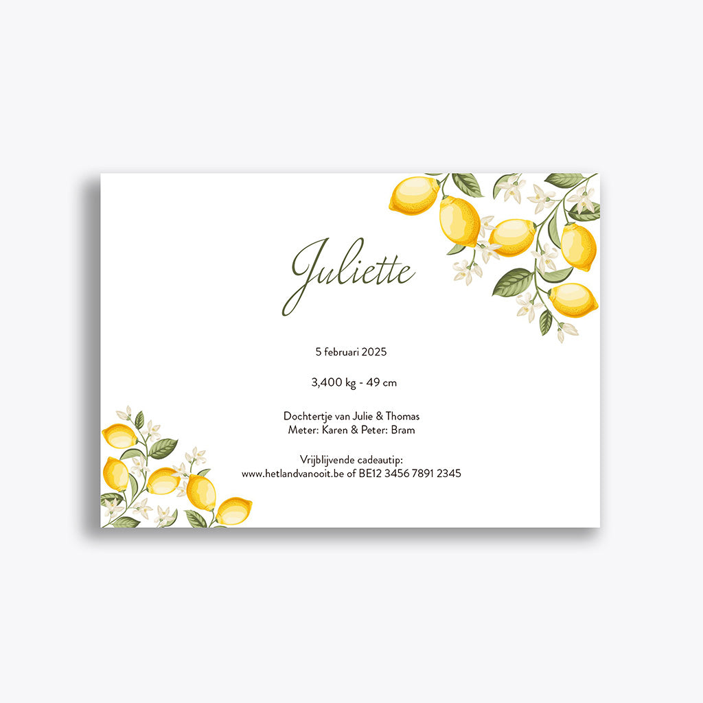 Geboortekaartje "Juliette" (vanaf 40 stuks)