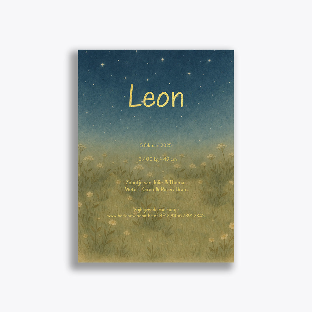 Geboortekaartje "Leon" (vanaf 40 stuks)