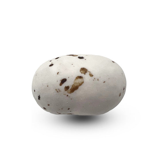 Een enkele Cookie Choc’s matte suikerboon in wit-bruin, met een knapperige kern en een dunne suikerlaag.