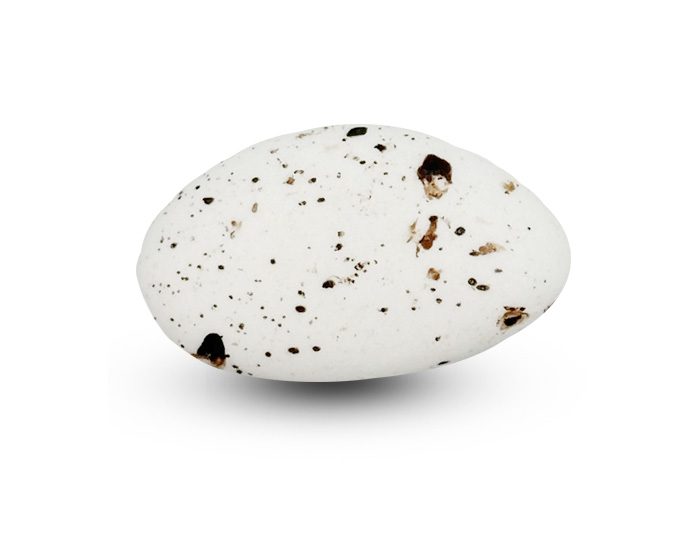 Suikerbonen Hazelnoot Marmer Mat Papa Chocolat – 1 kg doos